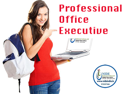Pro. Office Executive